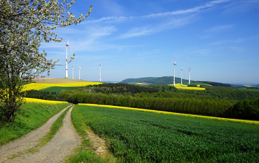 Windkraftanlagen auf einem Feld unter blauem Himmel